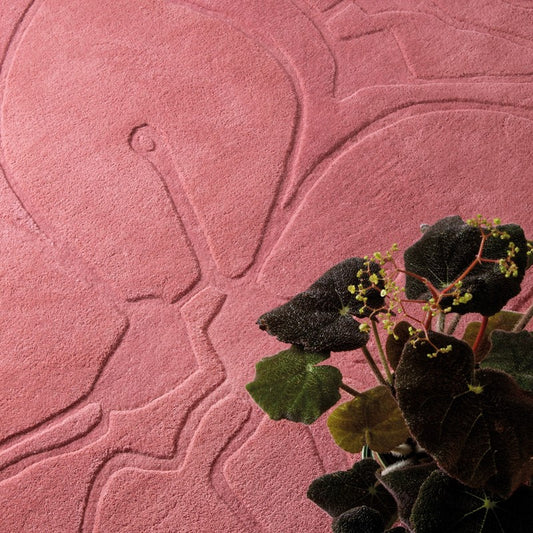 Ted Baker Romantic Magnolia Pink Rug