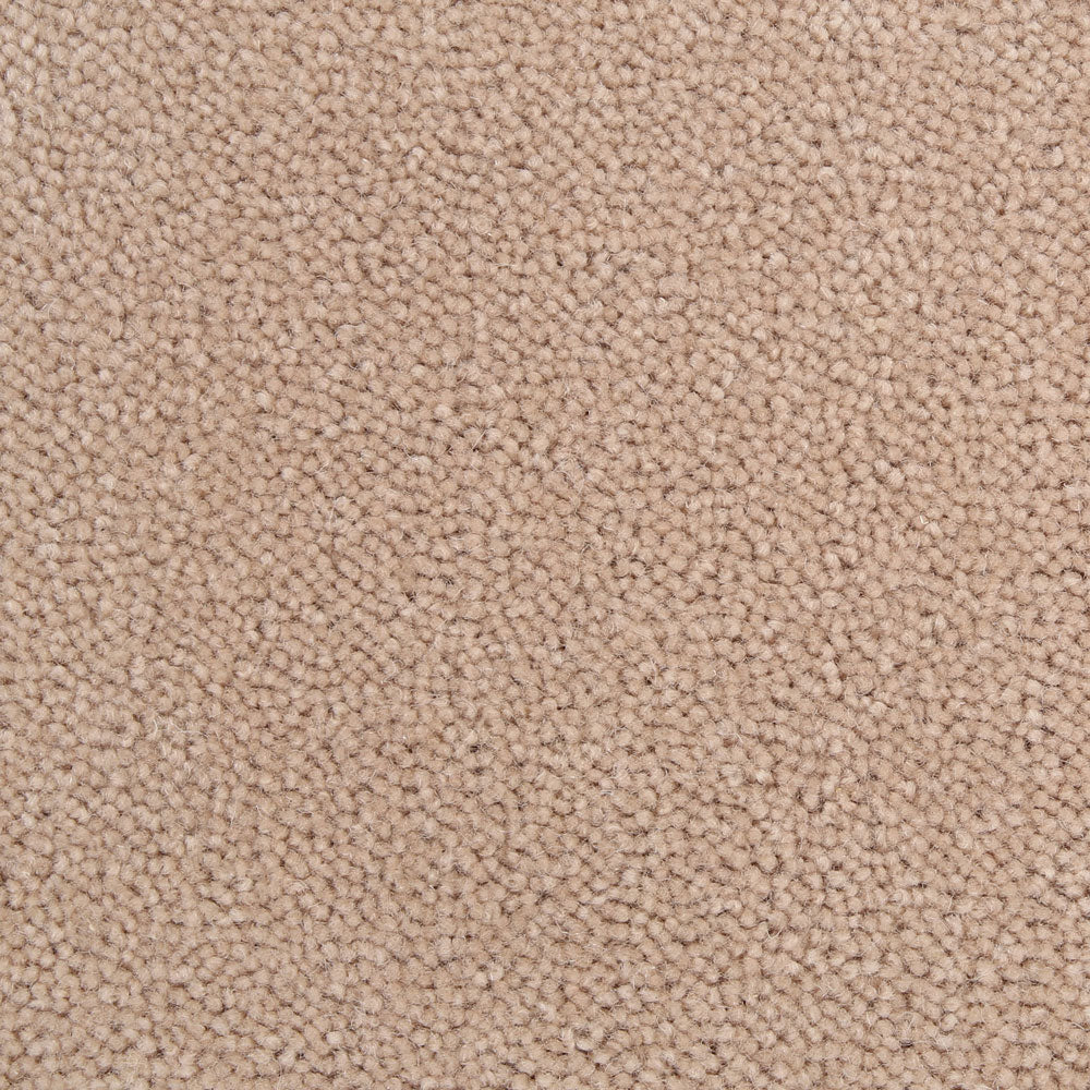 Westex Ultima Almond - 3.7 x 5m