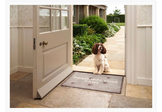 Turtle Mat Wipe Your Paws - 60cm x 85cm (Medium)