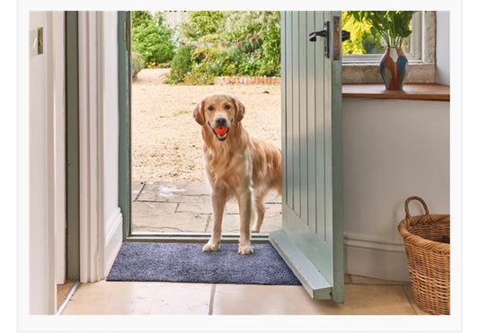 Turtle Mat Plain Blue - 50cm x 75cm (Standard)