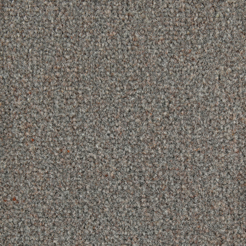 Westex Crest Fossil - 3.2 x 5m