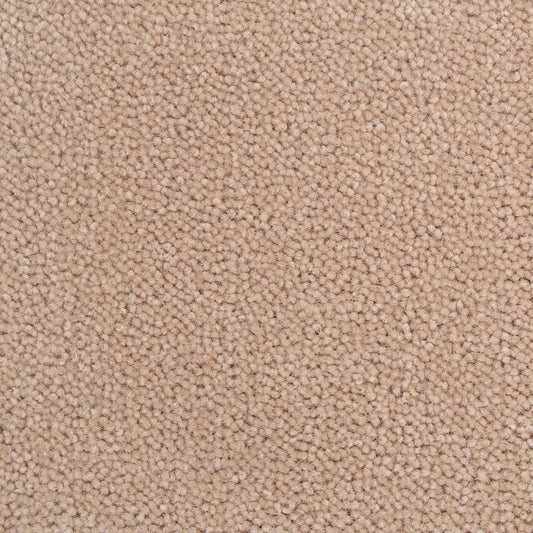 Westex Ultima Almond - 3.7 x 5m