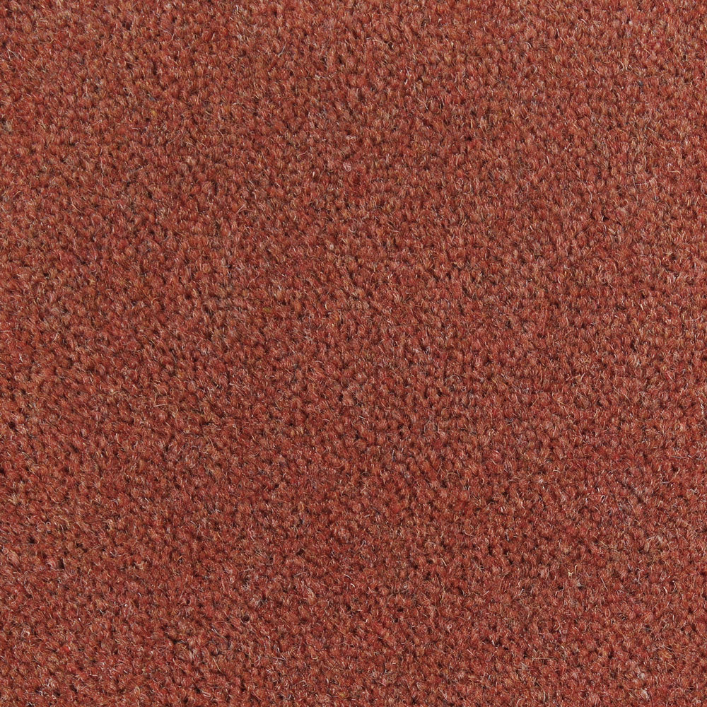 Westex Ultima Mocha - 3.4 x 5m