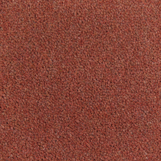Westex Ultima Mocha - 3.4 x 5m
