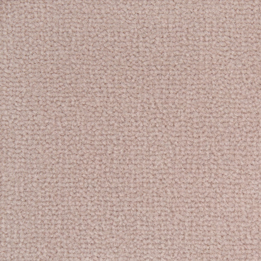 Westex Prestige Nougat - 3.1 x 5m