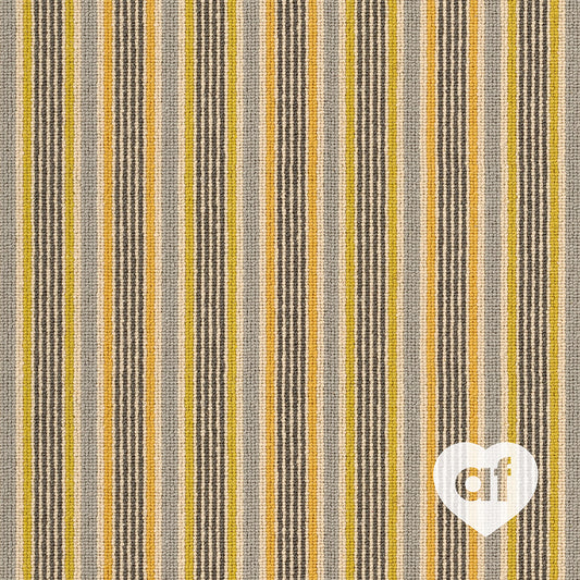 Sun Shellness Stripe - 4.2 x 3.4 (W)